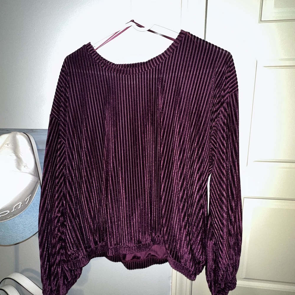 Dantelle Deep Purple Velvet Blouse